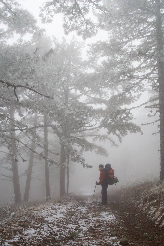 , Виталий Ра