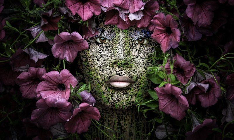 ART фото превью