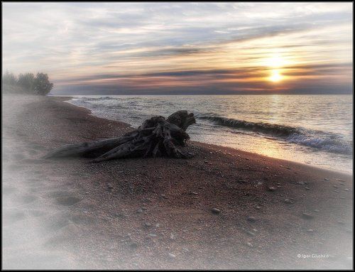 Loneliness