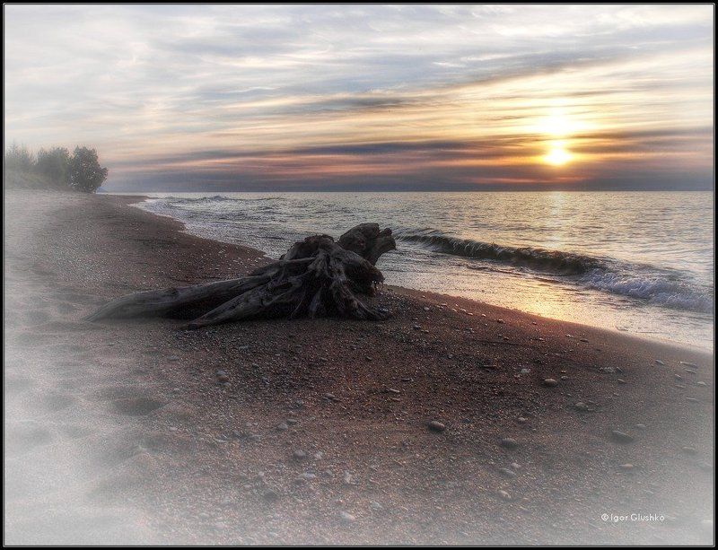 байкал, бурятия, берег, коряга, закат Loneliness фото превью
