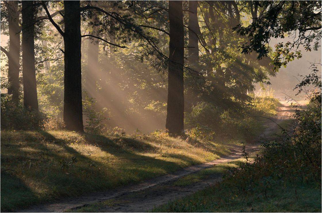 , Володимир Карчевський