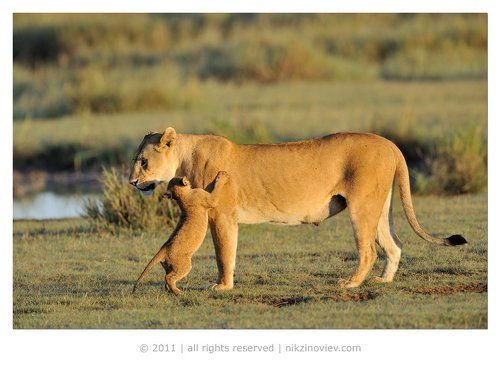 Утро в детском саду