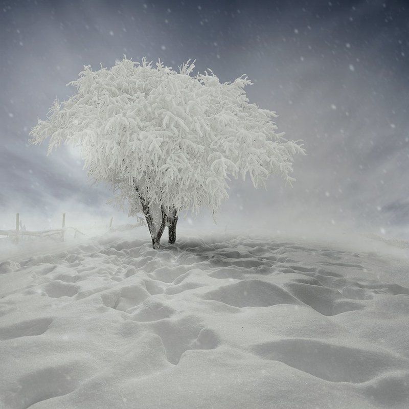 Alone in the winter фото превью