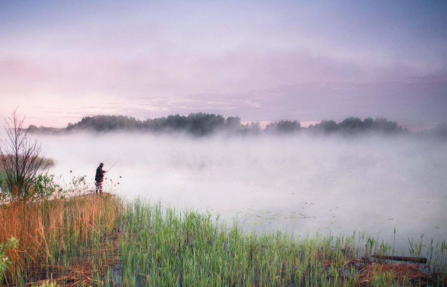 утро, рассвет, рыбак, туман, Андрей Радюк