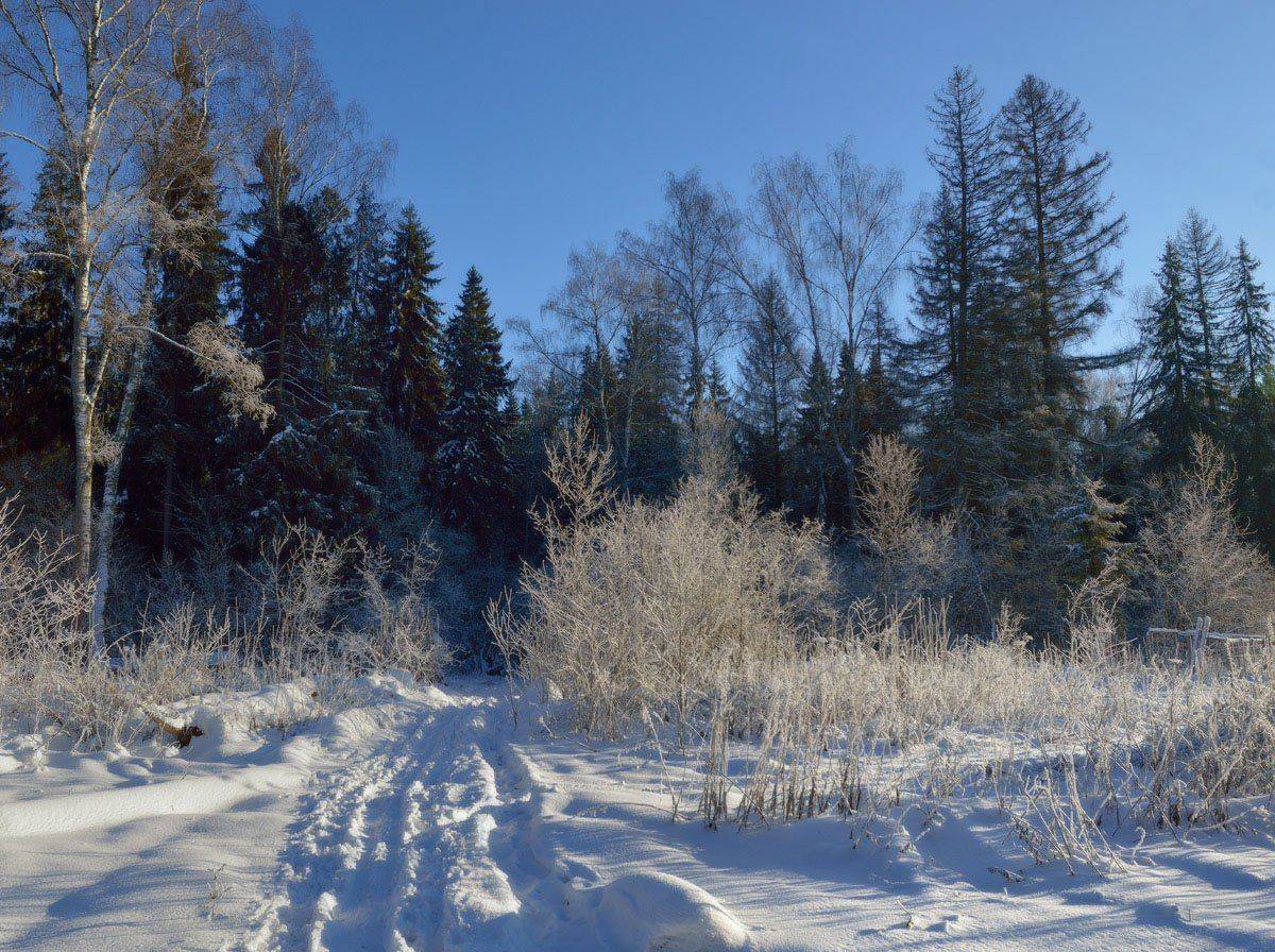 , Сергей Седов