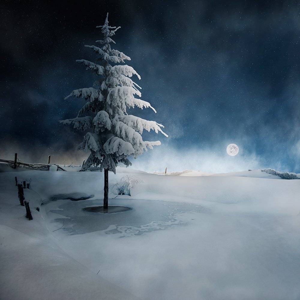 , Caras Ionut