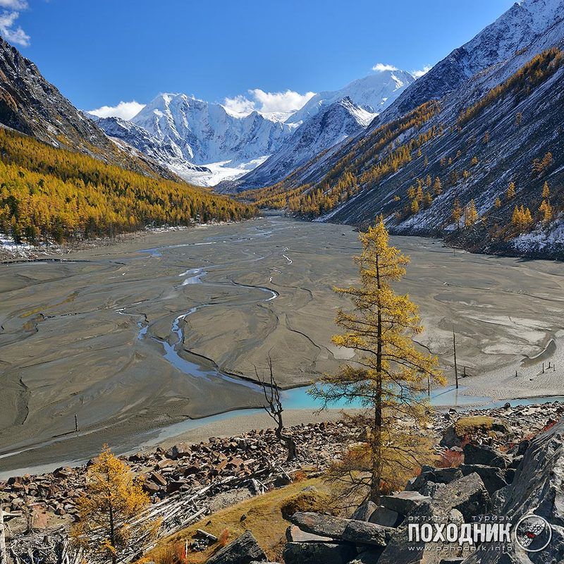 ex-Маашей фото превью