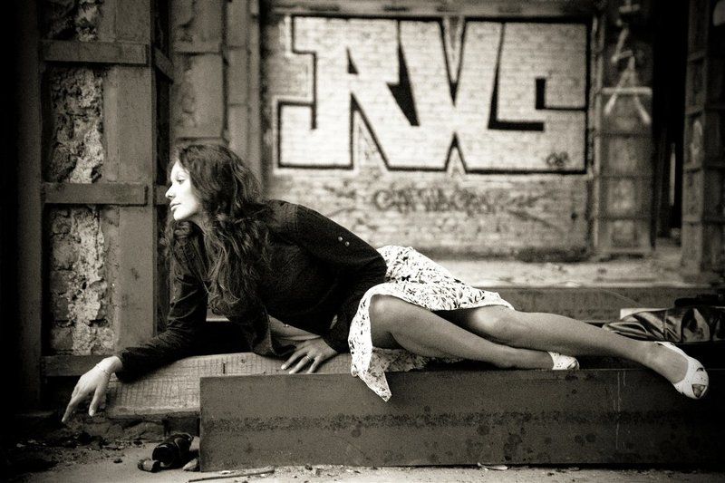 кошка фото превью