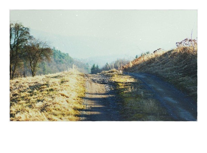 If you\'re going to San Francisco фото превью