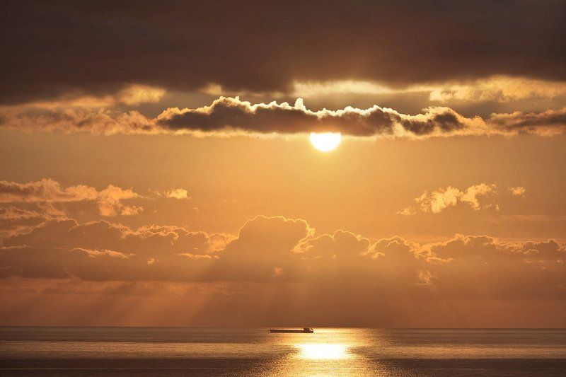 SHGRZ фото превью