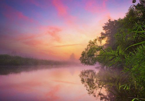 Райские цвета