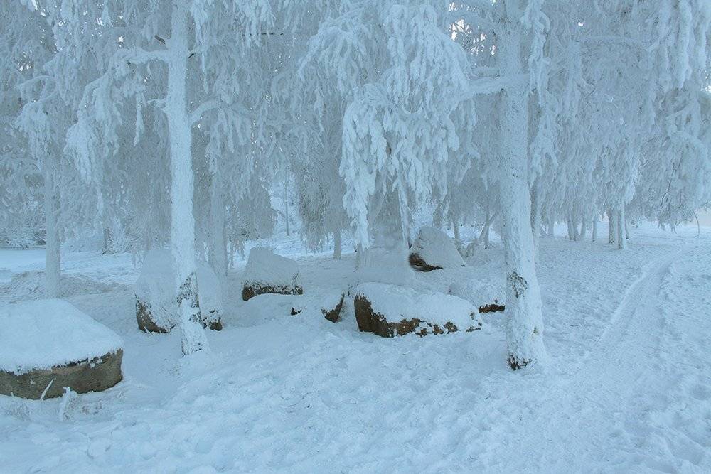 , Николай Морский