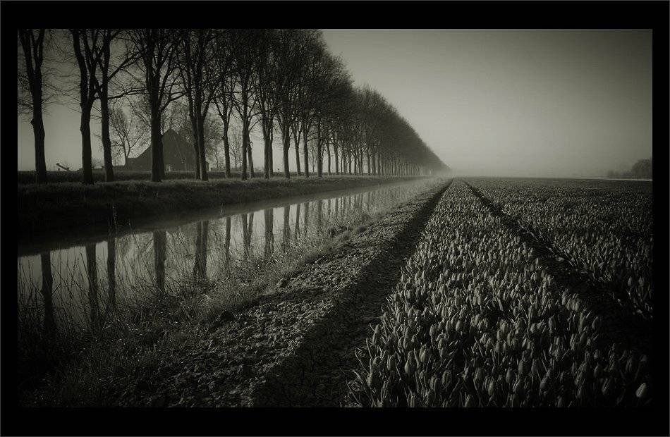 , Waldemar Wienchol