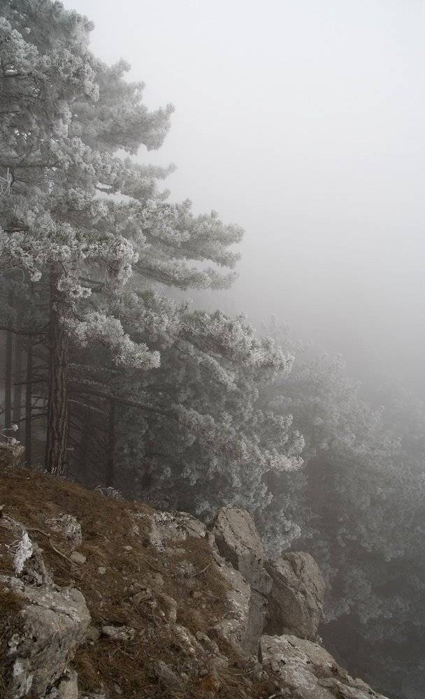 , Виталий Ра