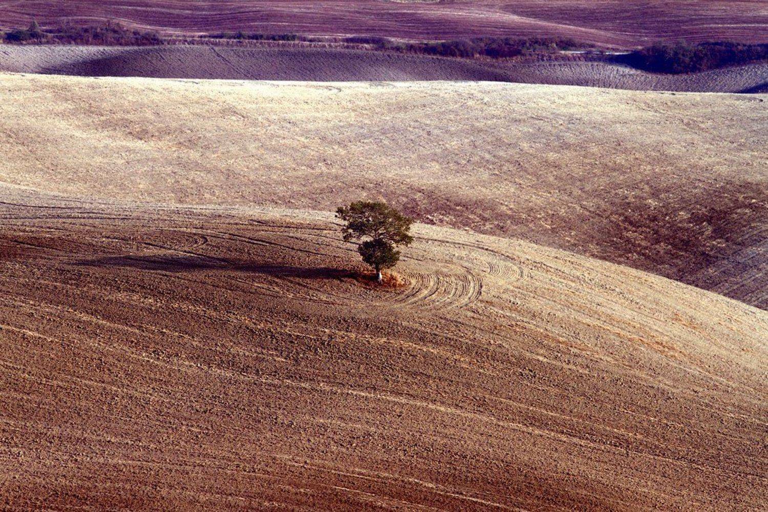 , Юлия Болдинова