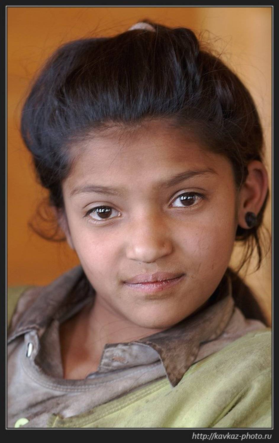 , Николай Стюбко