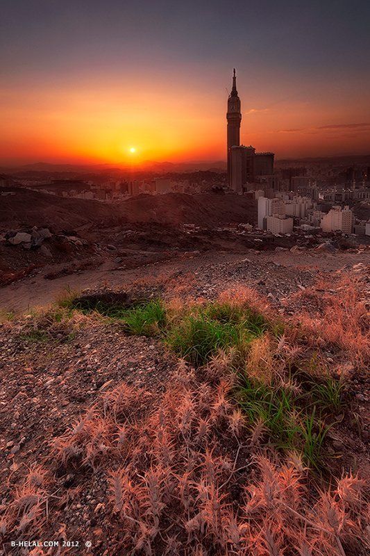 King Abdul Aziz Endowment фото превью