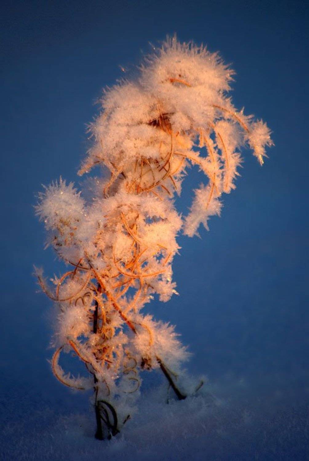 , Солодухин Виктор