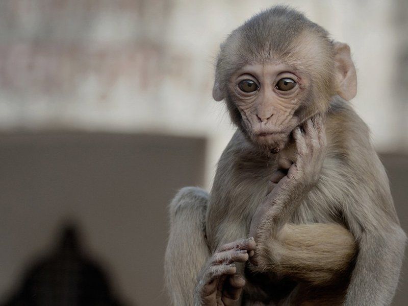Задумавшись про год минувший... фото превью