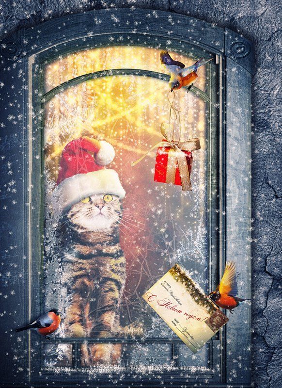 коллаж, фотоарт, фотошоп, рождество Рождественский подарок фото превью