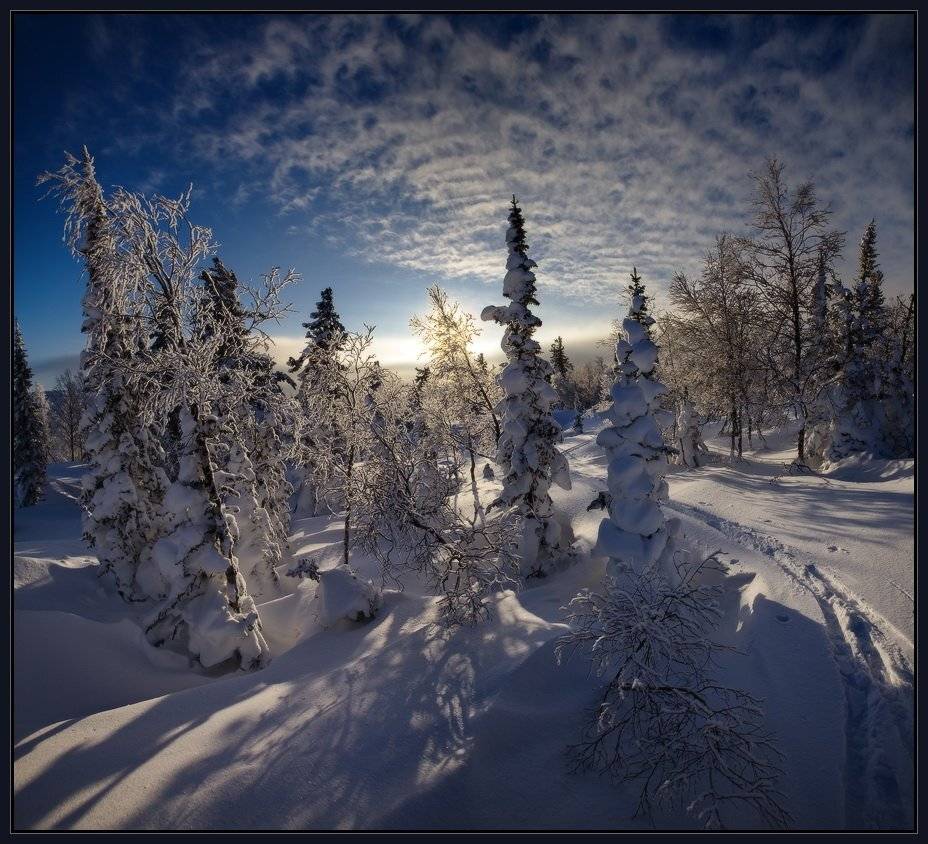 шория, шерегеш, верблюды, зима, снег, солнце, лыжня, ярославский, виталий, Виталий из Н-ска