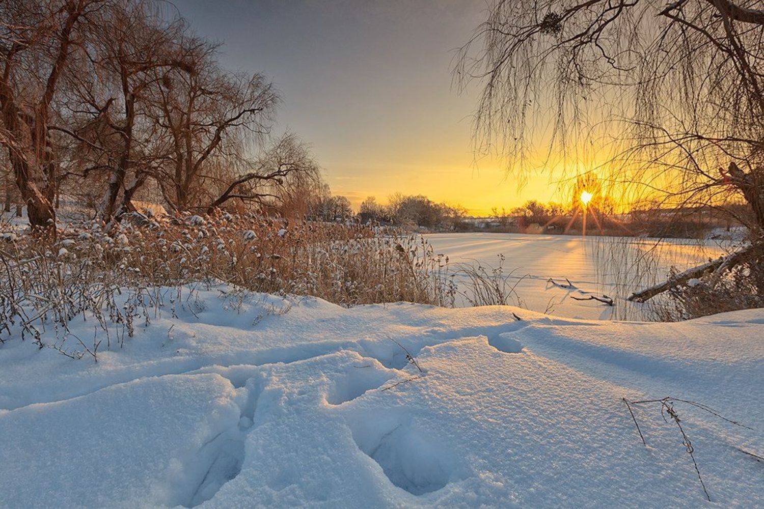 , Петр Антонович