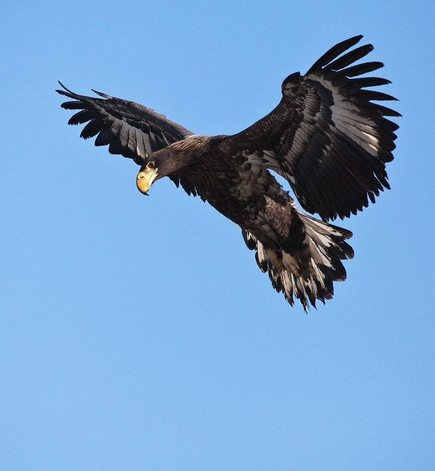 , Евгений Слободской