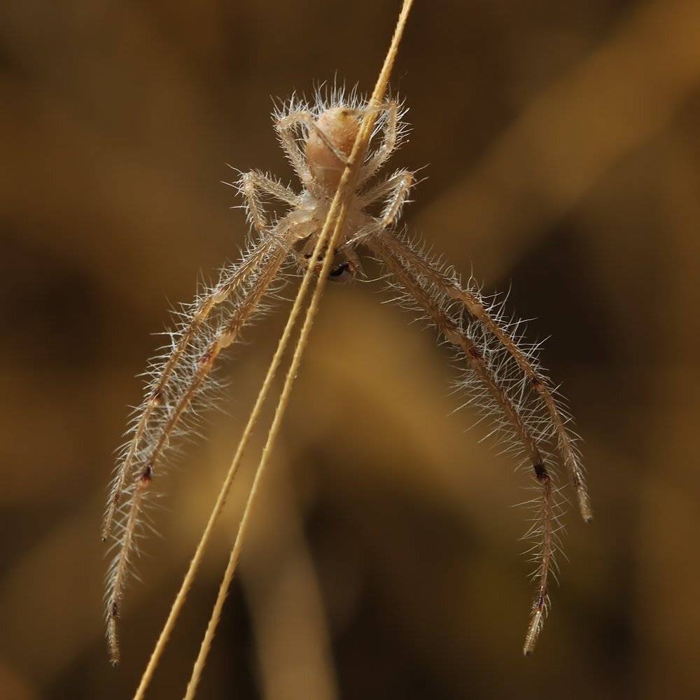 , Игорь ФУММ