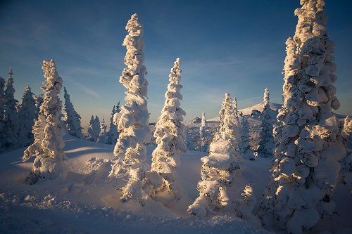 Вечер на горе Зеленая - начало