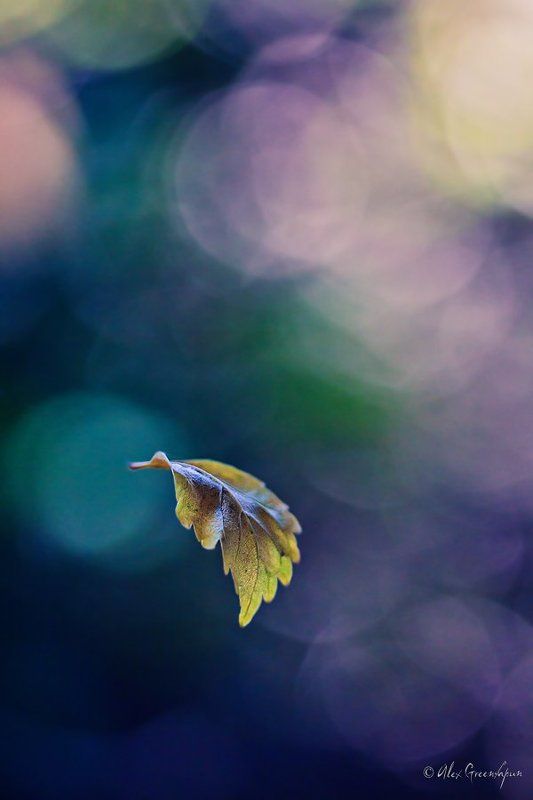 First Flight фото превью