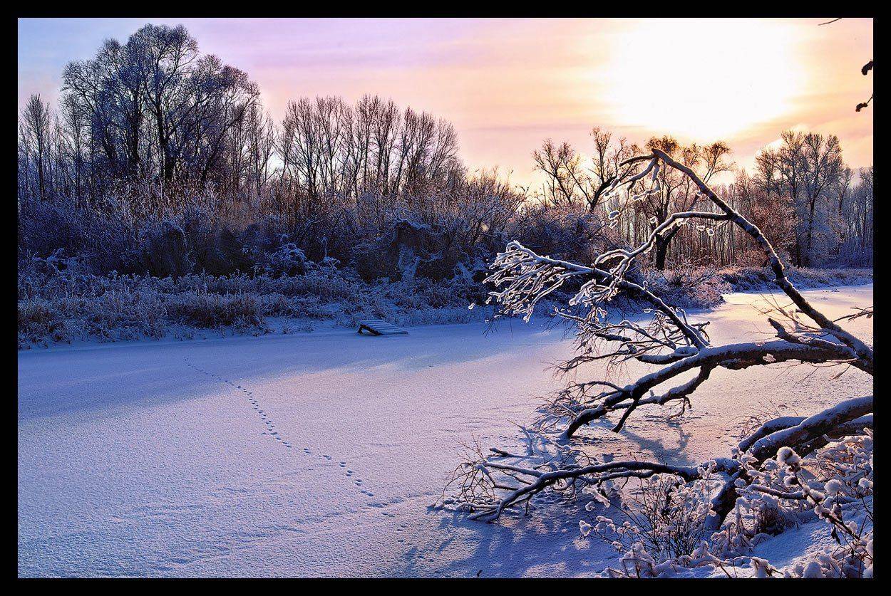 , Владимир Ляпин