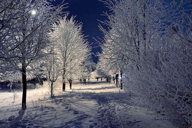 С Новым Годом! фото превью