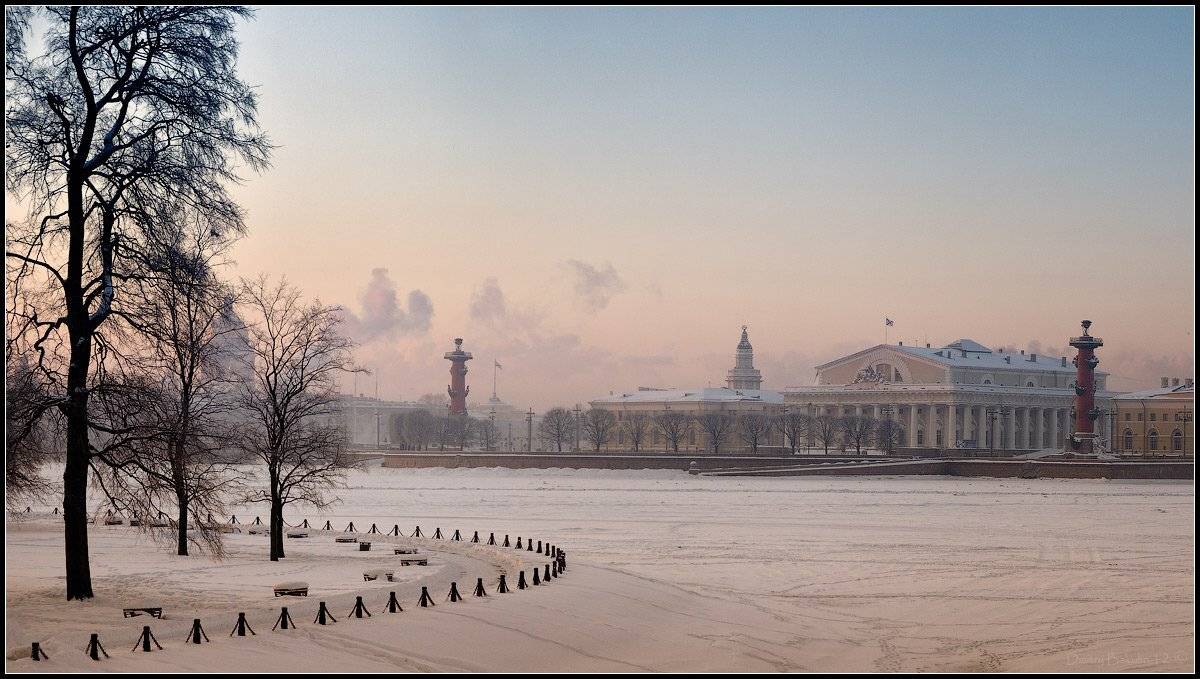 , Дмитрий Бакулин