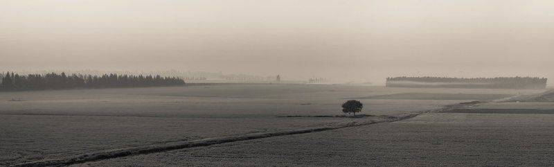 Solitude... фото превью
