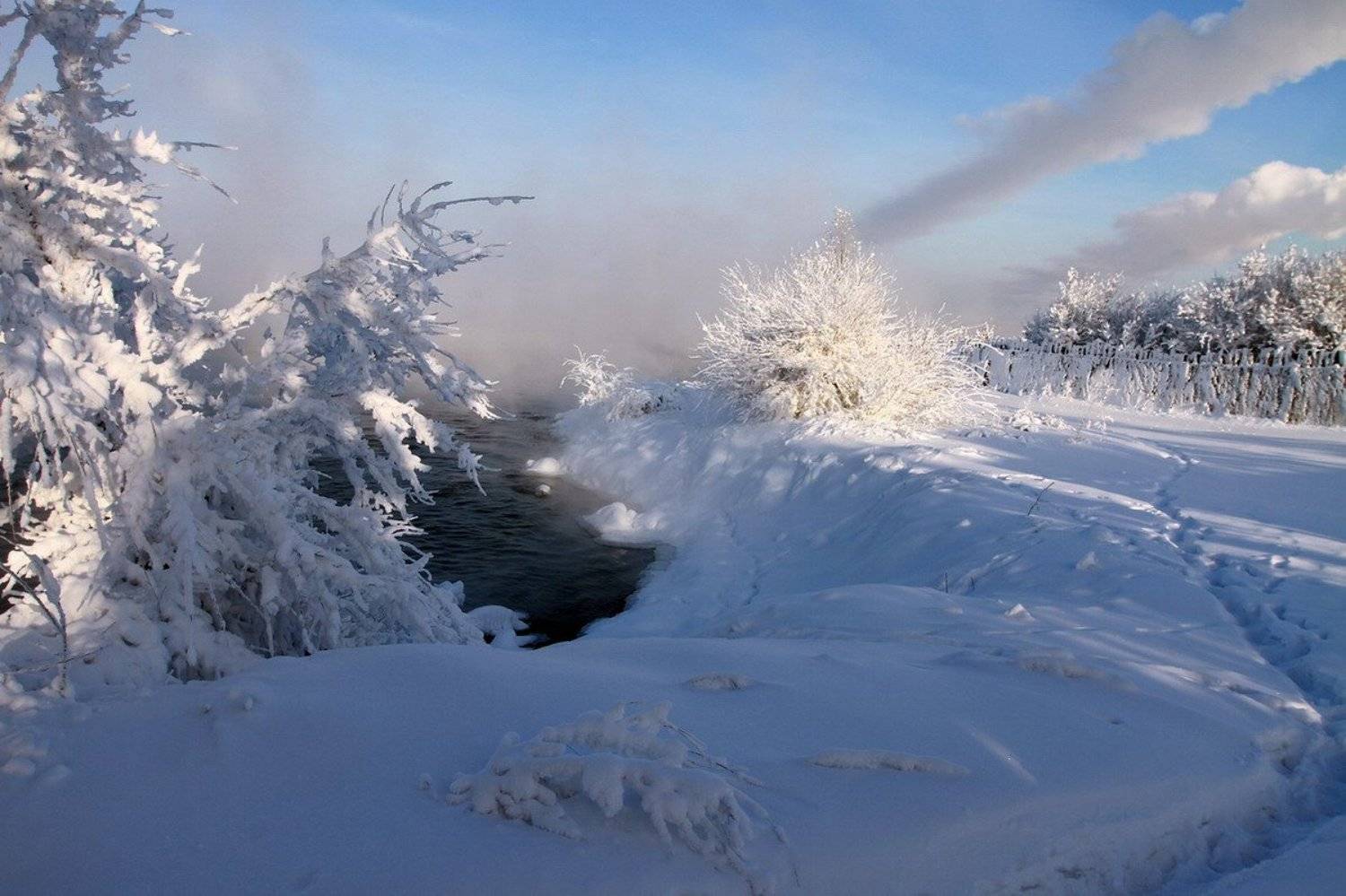 , Васенин Валерий