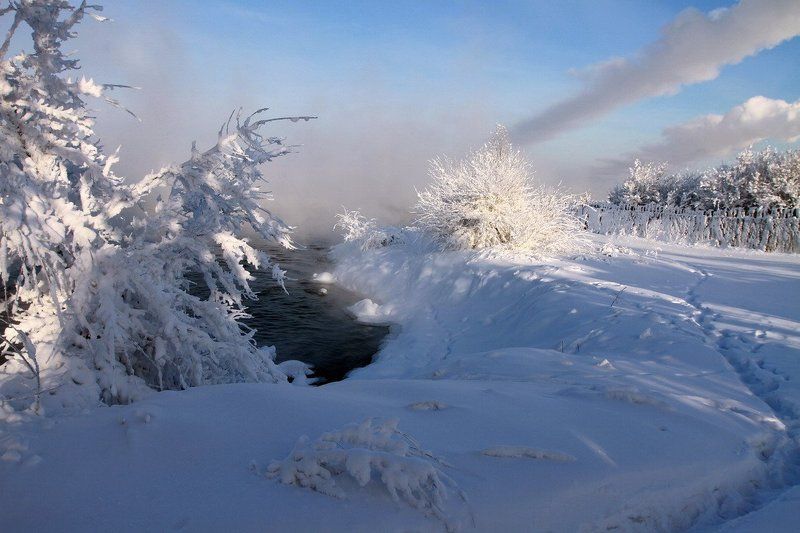 *** фото превью