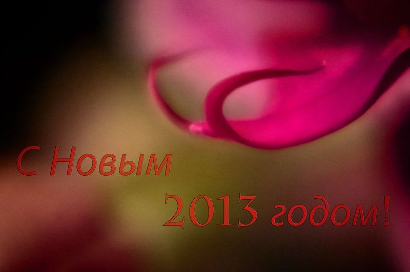Дорогие Друзья! Поздравляю Вас с Новым 2013 Годом! Успехов и Удачи в Новом Году! фото превью