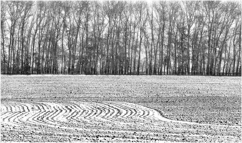 Осенняя прическа фото превью