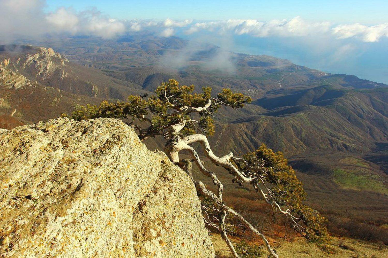 , Ситкин Игорь