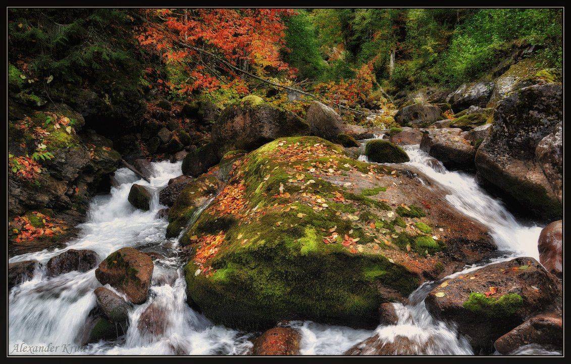 рожкао, речка, осень, лес, Александр Круль