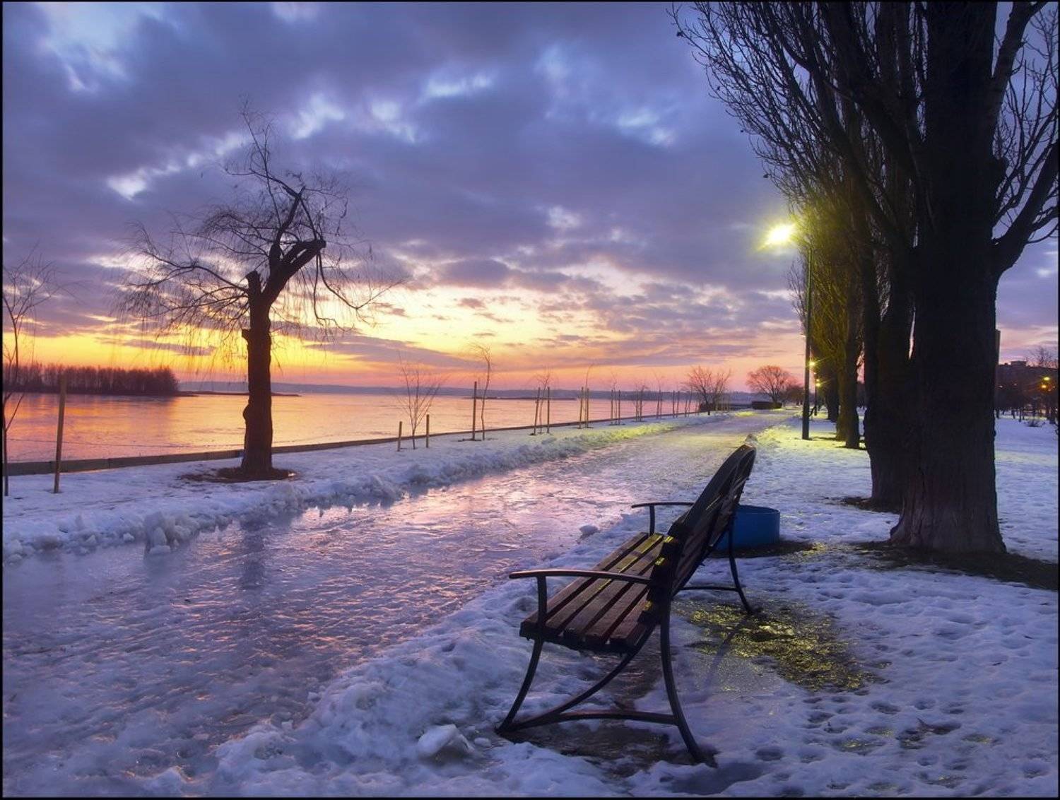 , Елена Кошель