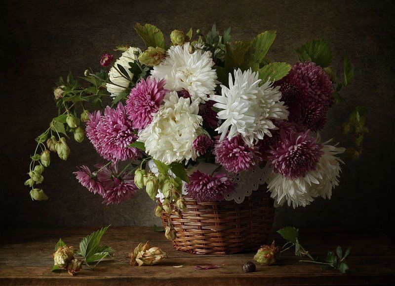 натюрморт, цветы, астры, хризантемы, хмель, корзинка *** фото превью