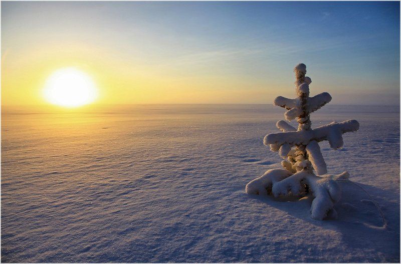 Навстречу солнцу ... фото превью