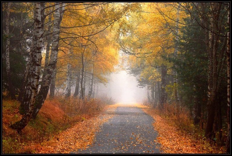 bulgaria, , vitosha  фото превью