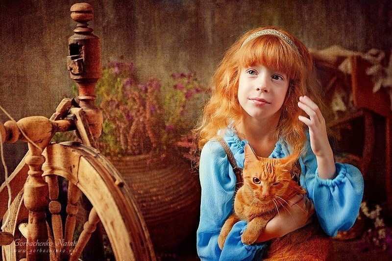 Рыжики фото превью