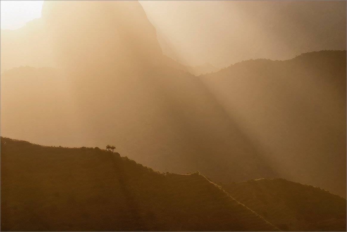 , Алексеевич