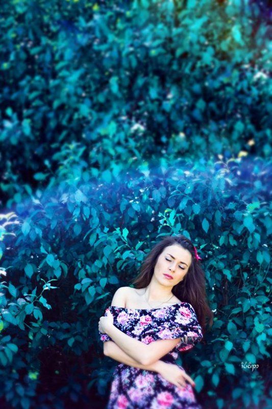 фото превью