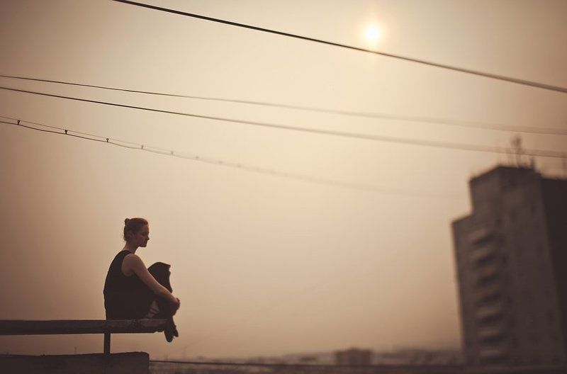 Тишина крыш фото превью