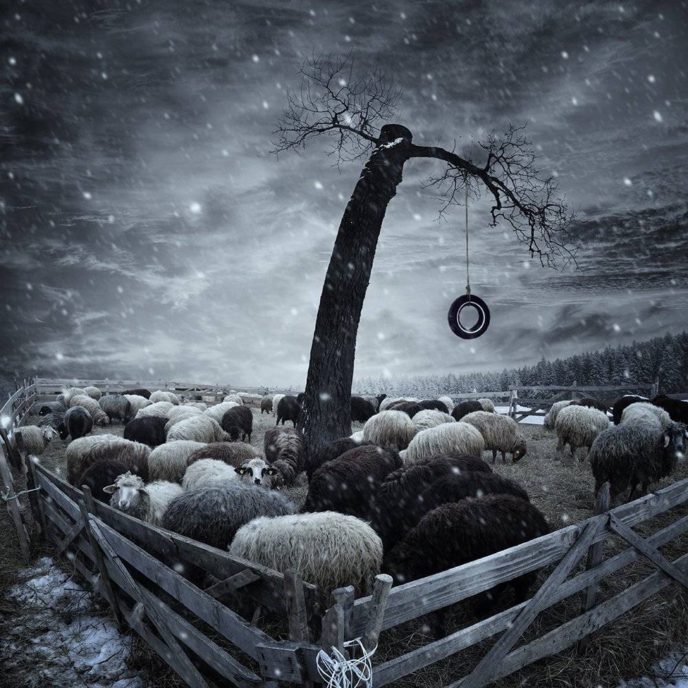 , Caras Ionut