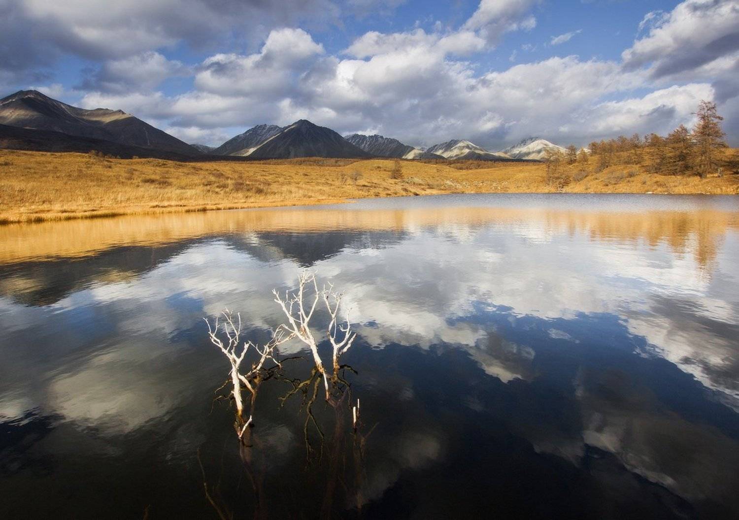 , Алексей Трофимов